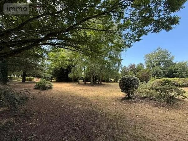 Achat - Maison Martigné-Briand 49540 10 pièces 179 m 2 3275 m 2
