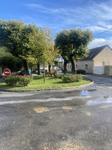 EXCLUSIVITÉ A 10 KMS OUEST ETAMPES CHARMANTE MAISON EN PIERRES 4 CHAMBRES SUR 2090 M2 DE TERRAIN CLOS