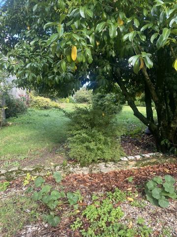 EXCLUSIVITÉ A 10 KMS OUEST ETAMPES CHARMANTE MAISON EN PIERRES 4 CHAMBRES SUR 2090 M2 DE TERRAIN CLOS