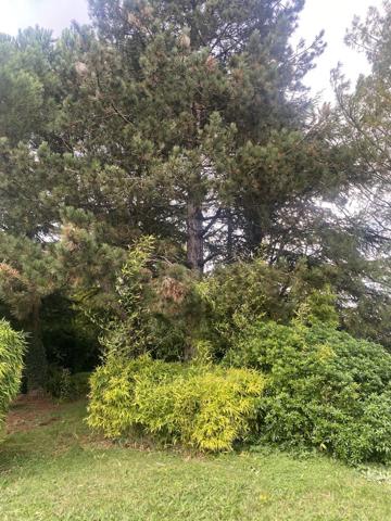 EXCLUSIVITÉ A 10 KMS OUEST ETAMPES CHARMANTE MAISON EN PIERRES 4 CHAMBRES SUR 2090 M2 DE TERRAIN CLOS