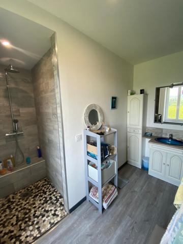 Maison de 10 pièces + dépendances (dont 2 T3 de 60 m2) sur terrain de 15.900 m2 Pradines (46090)