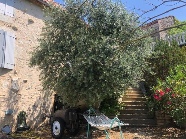 Maison de 10 pièces + dépendances (dont 2 T3 de 60 m2) sur terrain de 15.900 m2 Pradines (46090)