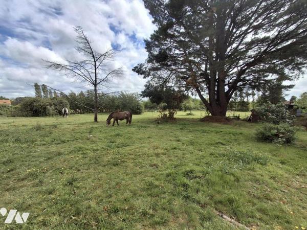 Couëron La Chabossière en campagne, maison traditionnelle à rénover