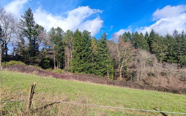Terrain à vendre    Pont-de-Larn
