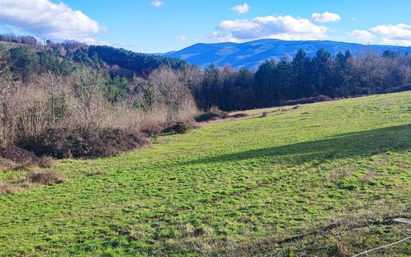 Terrain à vendre    Pont-de-Larn