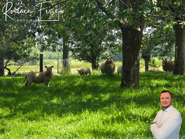 Maison 4 pièces - 277 m²