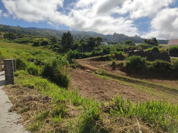 TERRAIN VIABILISE SITUE AU PLATE SAINT-LEU
