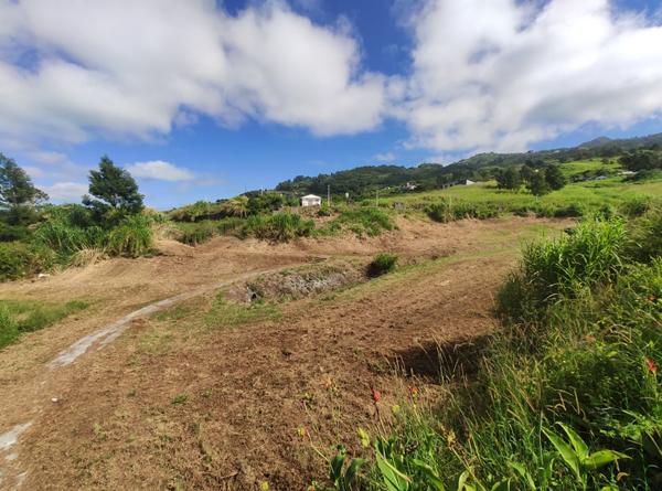 TERRAIN VIABILISE SITUE AU PLATE SAINT-LEU