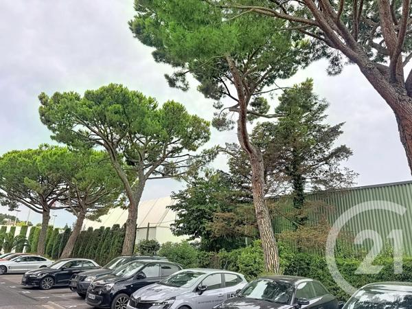 Appartement F1 à vendre  1 pièce - 24,21 m 2   ANTIBES  - 06