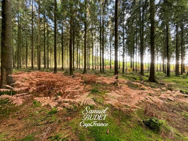 Terrain à vendre de 729 m2 à ECOUVES (61)