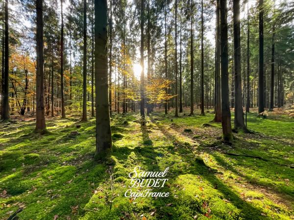 Terrain à vendre de 729 m2 à ECOUVES (61)