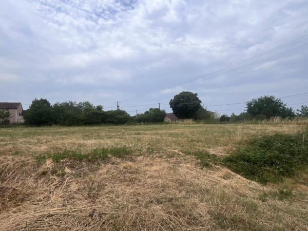 Terrain Constructible