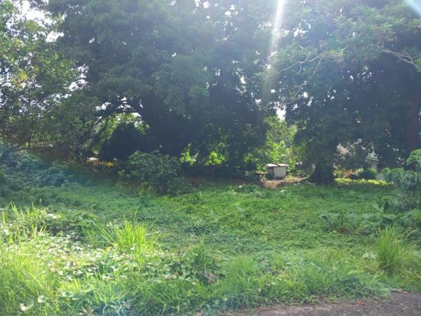 Terrain constructible en campagne au Lamentin.