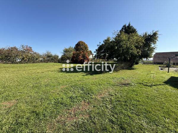 Terrain - 1715 m²