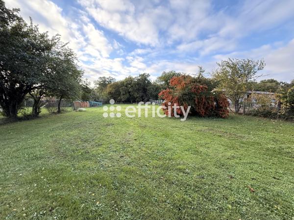 Terrain - 1715 m²