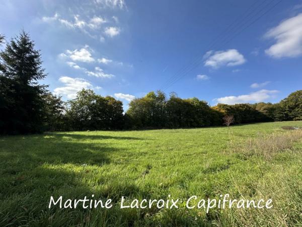Dpt SARTHE (72), BONNÉTABLE - PROPRIÉTÉ P8 de 200 m² - Terrain de 1,60 Ha