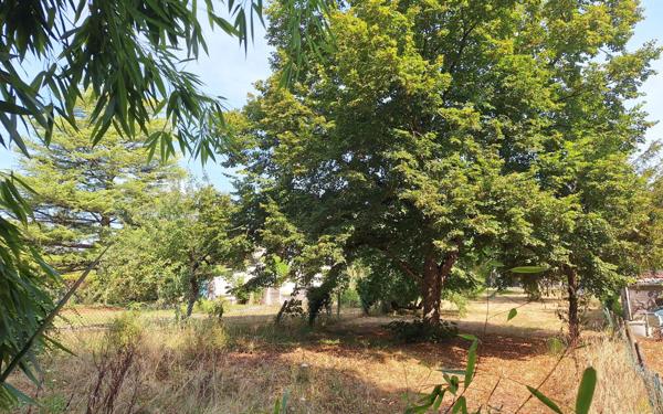 Maison à vendre    5 pièces • 172 m2 Saint-Satur