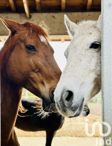 Maison à vendre 13 pièces 470 m² Arçais