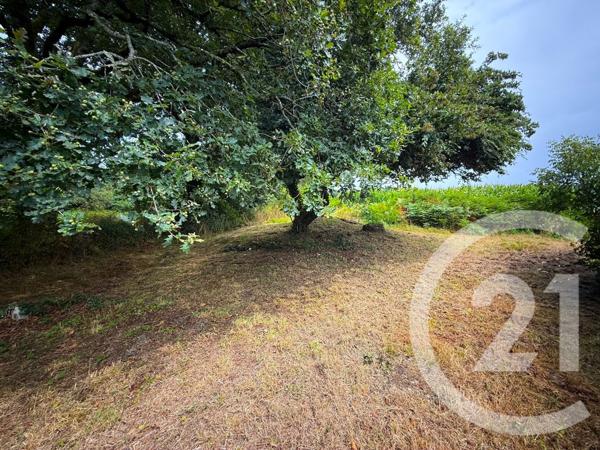 Maison à vendre  4 pièces - 121,78 m2 ST AVE - 56