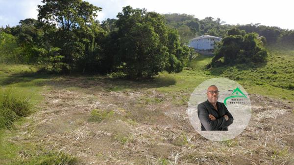 Terrain - 1241 m² Exclusivité efficity