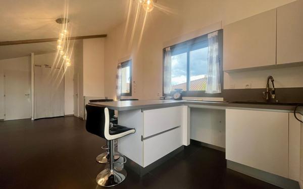 Appartement à louer    3 pièces • 54,23 m2 Reyrieux