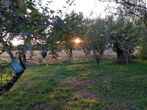 Maison individuelle à vendre à Montrichard-Val-de-Cher dans le Loir-et-Cher (41400), ref : 12101/1313