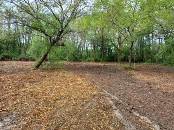 Terrain Libre de Constructeur