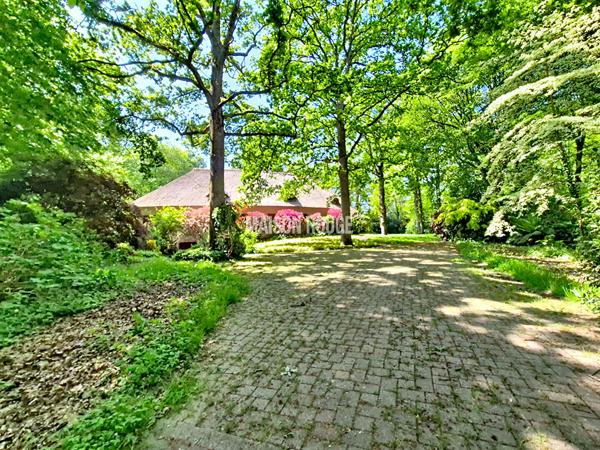Vaste maison de famille - Toit de chaume - 240 m² - Proche Dinan et de la côte - Parc de 1,9 ha