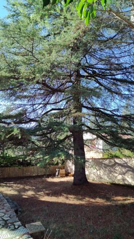 Sur les hauteurs du village de Saint-Étienne-les-Orgue, au cœur de la Provence de Giono, à deux pas des sentiers de randonnées de la montagne de Lure, vous découvrirez cette maison sans étage, construite sur vide sanitaire, offrant 65 m² habitables, plus un hall d'entrée de 8 m² non chauffé .
Une fois passé ce sas carrelé et traversant, on accède 4 marches plus haut à un salon/SAM de 20 m2 environ avec cheminée insert, une cuisine équipée entièrement neuve et sous garantie, ces 2 pièces ouvrant sur une véranda de 11m2 exposée plein SUD. Côté nuit, deux chambres exposées EST et OUEST, une salle d'eau avec douche italienne et un WC indépendant complètent la partie habitable. Le salon/SAM et la véranda sont équipées de climatisations réversibles. Les combles ont été isolés avec 25 cm de laine de verre sur un plancher béton, les murs NORD et EST de toute la maison ont été isolés par l'intérieur et les fenêtre PVC blanc ainsi que les volets en PVC imitation bois de toute la maison et du garage sont récents et de belle facture. Enfin, la toiture ne contient pas d'amiante. 
À l'extérieur, le terrain de 780 m2, clôturé et arboré, comporte une terrasse plein sud d'environ 30 m² avec point d'eau, barbecue bâti et abrité  utilisable quel que soit le temps , un garage de plus de 19 m², un carport et un abri à bois de plus de 5 m²font de cette maison où il suffit de poser ses valises, un lieu de vie à l'année comme en vacances absolument paisible et reposant qui ravira les amateurs de calme et de nature..
 Située entre Manosque et Sisteron, à 20 mn de Forcalquier ce coin de paradis dispose de toutes les commodités – commerces (boulangerie, épiceries, boucherie, tabac, opticien, esthétique, coiffeurs, restaurants), école, centre de soins avec 3 médecins généralistes, Kiné, dentiste, pharmacie, ostéopathes, et bien d'autres... Une  crèche municipale est en construction, un bureau de poste, un distributeur de billets ainsi que des services publics et des associatifs nombreux et dynamiques (culture, sport, loisirs) grâce à la médiathèque et la communauté de commune en font un lieu de vie pratique et apaisant.

Ne tardez pas à me contacter et organiser une visite!