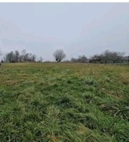 Propriete à vendre 7 pièces proche de EPINAL (88) FERME rénovée + HANGAR/GARAGE + 5000 m2 de TERRAIN