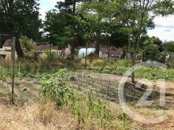 Maison à vendre  4 pièces - 90,76 m 2   SANCOINS  - 18