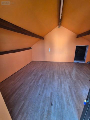 Maison à restaurer à vendre à Cluis dans l'Indre (36340), ref : CG/427