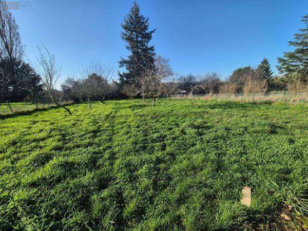 Maison à restaurer à vendre à Cluis dans l'Indre (36340), ref : CG/427