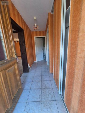 Maison à restaurer à vendre à Cluis dans l'Indre (36340), ref : CG/427