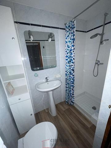 PLATEAU CENTRAL : studio vendu avec locataire en place