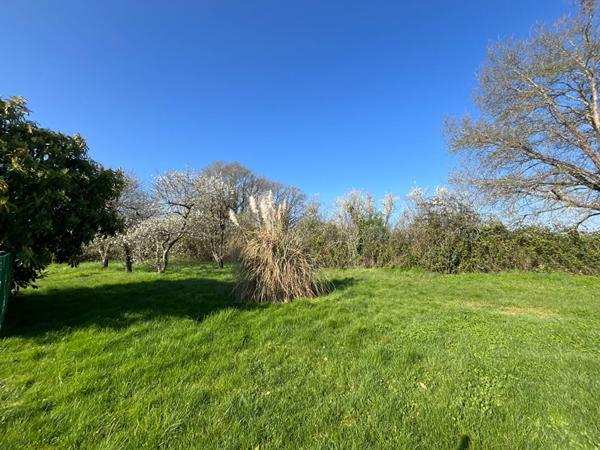 Maison Chatillon Sur Indre 6 pièce(s) 150m2