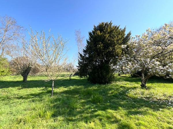 Maison Chatillon Sur Indre 6 pièce(s) 150m2