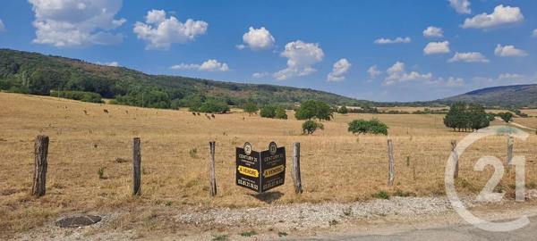 Terrain à vendre  4239 m 2   ARLAY  - 39