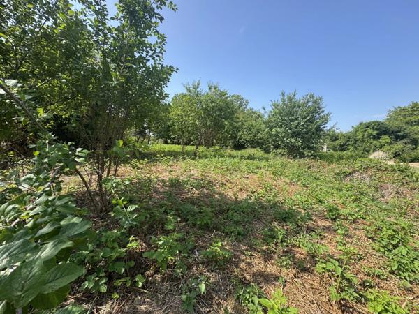 Vente Terrain 1310 m2 à Neuilly-Saint-Front