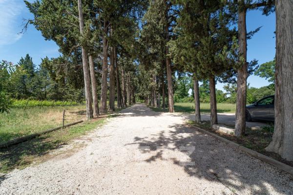 Château historique à vendre en Provence – Domaine de prestige de 1 300m² sur 18 ha avec gîtes, pisci