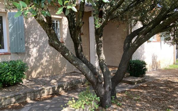 Maison à louer    4 pièces •  Villeneuve-lès-Avignon