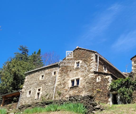 Mas  typiquement cévenol - Malbosc (limite Gard/Ardèche) 215 m² | 8 pièces | Terrain  17 497 m²| Piscine