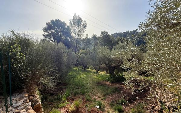 Terrain à vendre    Solliès-Ville