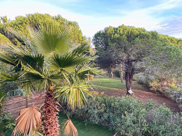 Appartement Le Cannet 3 pièces 68 m² terrasse piscine parking