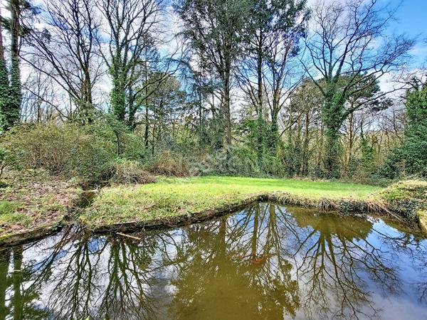Orvault Vallée du Cens : Maison à vendre ! Rare sur le secteur avec 293 m² sur terrain de 6300 m² ! Cadre verdoyant.