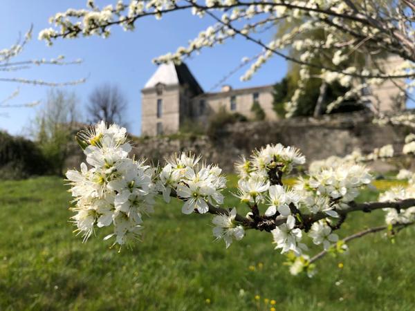 Vente Maison de luxe Bergerac 7 Pièces 440 m²