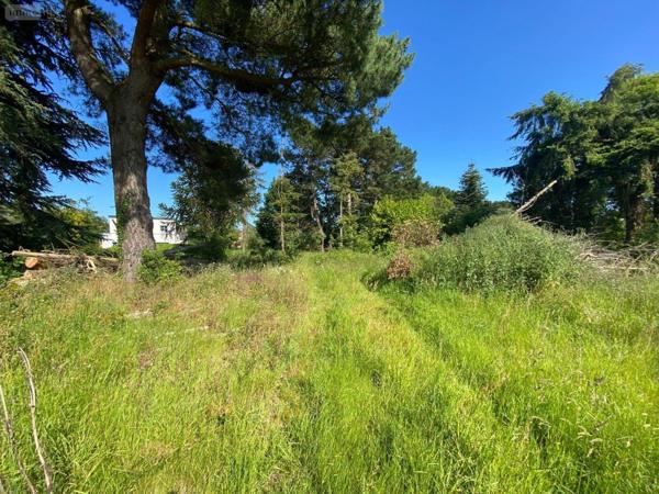 Terrain à Batir à vendre à Pléhédel dans les Côtes-d'Armor (22290), ref : TEBA-194