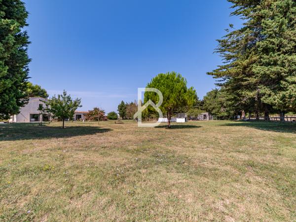 Mauguio (34130) EXCLUSIVITE - MAUGUIO VAUGUIERES - 34130 - MAS 220 m2 - TERRAIN 7 000 m2