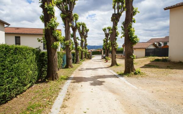 Appartement Lucenay 2 pièce(s) 55.51 m2