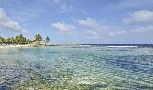 Appartement à vendre 1 pièces SAINT FRANCOIS (971)